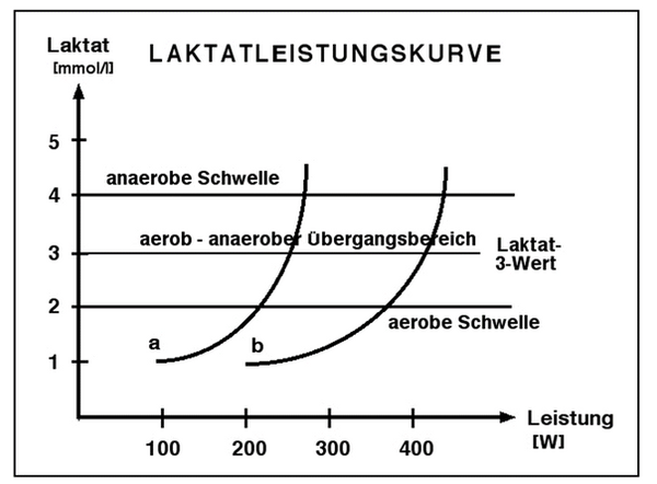 Laktatleistungskurve mit eingezeichneter aerober und anaerober Schwelle
